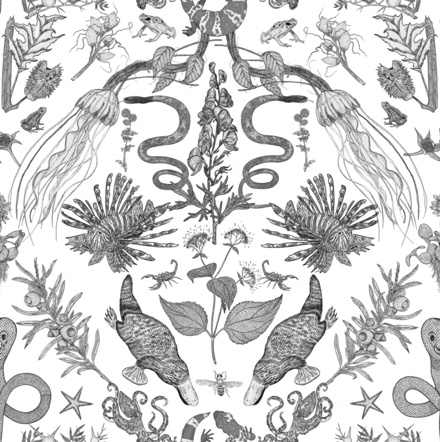 Critters Wallpaper by XAWD is a fun pattern that features all your favorite poisonous critters. Even the platypus!